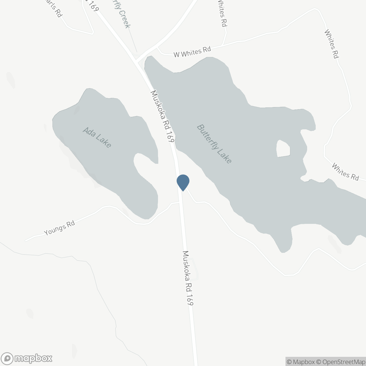 1160 BUTTERFLY ROAD, Port Carling, Ontario P0B 1J0